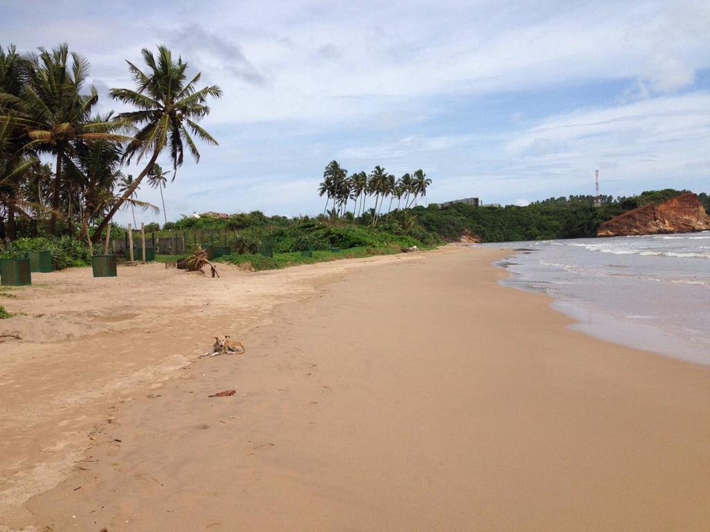 Relax Beach Resort Weligama Ngoại thất bức ảnh